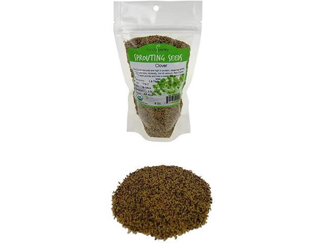 Certified Organic Red Clover Sprouting Seeds 8 Oz Brand Red Sweet Clover Seed for Sprouting Gardening Salad Greens Hydroponics Edible Seed Food