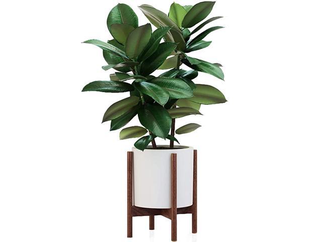 amp Fern MidCentury Modern Plant Stand and Pot Including White Planter Pot Drainage Plug