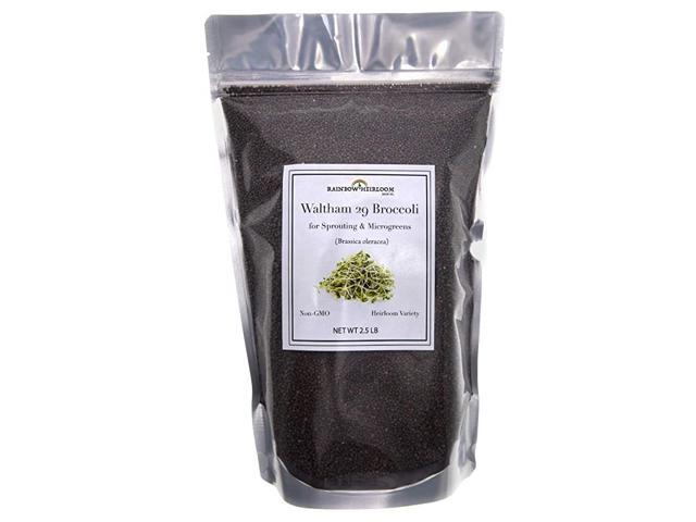 Broccoli Sprouting Seeds for Broccoli Sprouts amp Microgreens Waltham 29 Variety Non GMO Heirloom Seeds 25 LB Resealable Bag Perfect for