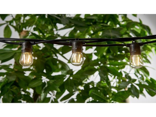 Hi-Line Gift 10 Bulb LED String Lights In/Outdoor Bulbs Included