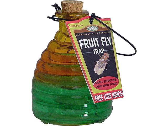 Glass Fruit Fly Trap - Newegg.com