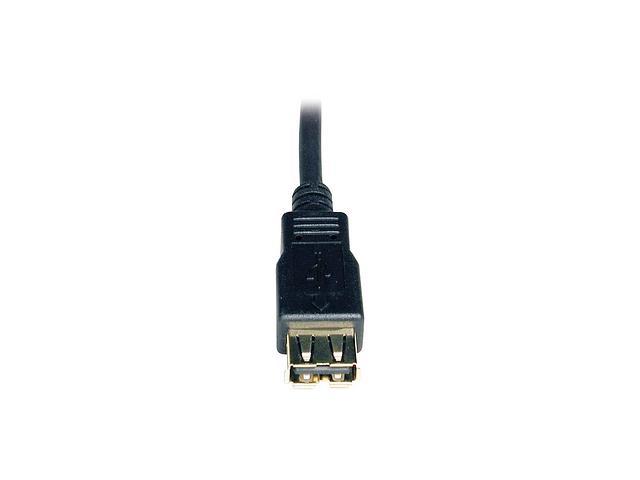 Tripp Lite 6ft USB 2.0 AA Gold Extension Cable, USB-A Male to USB-A Female, 6'