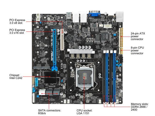 ASUS P11C-M/4L uATX Server Motherboard - Newegg.com