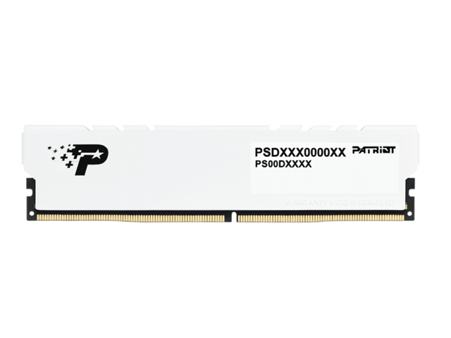 Patriot Memory Signature Line Premium Model PSP516G56081H1W