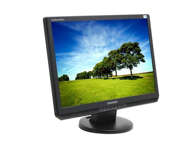 DVI-D Built-in Speakers LCD Monitor 