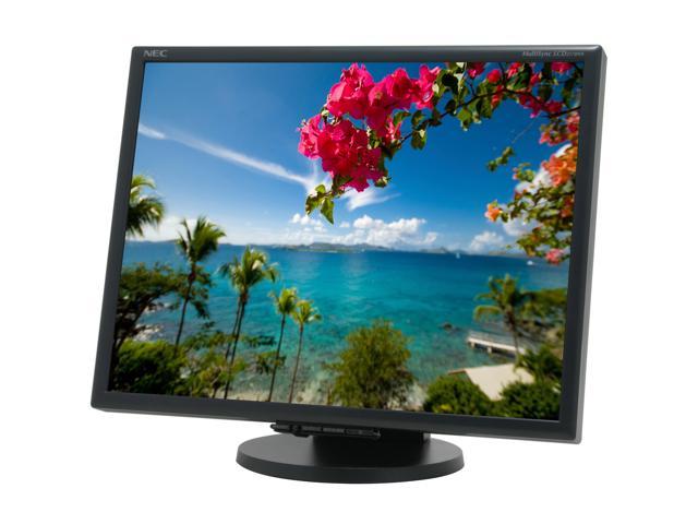 NEC Display Solutions 21" Active Matrix, TFT LCD UXGA LCD Monitor 8ms(GTG) 1600 x 1200 D-Sub, DVI-D LCD2170NX-BK