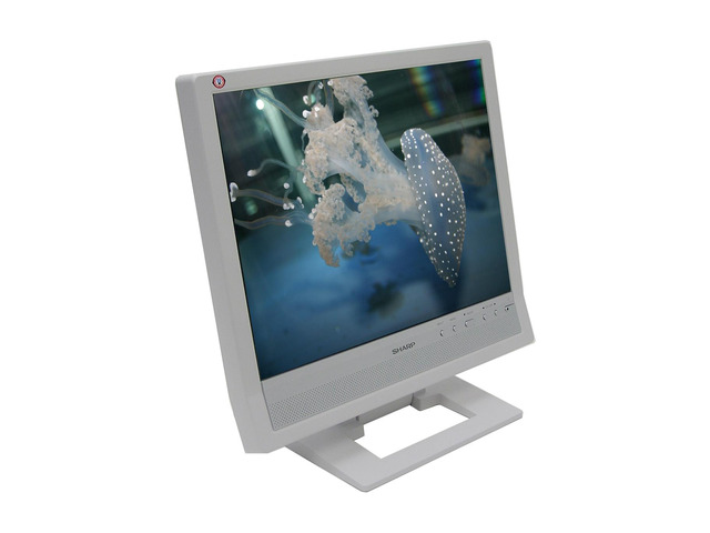 Xga Led Monitor SHARP 15