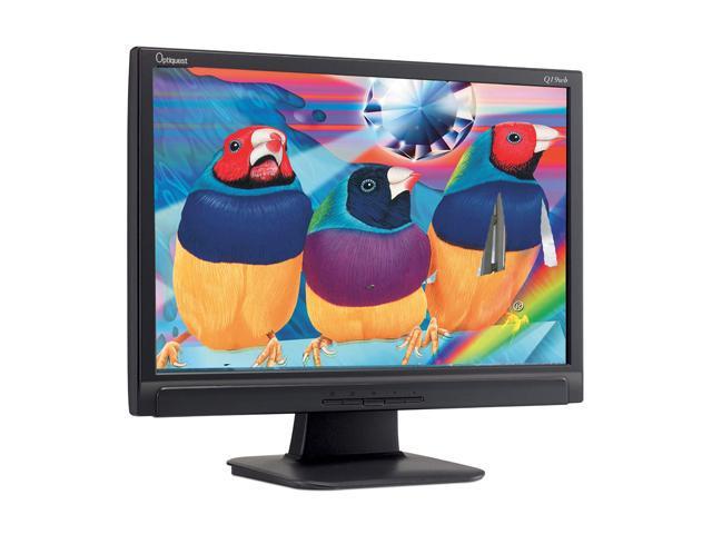 q19wb monitor