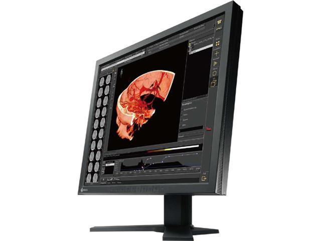 Eizo RadiForce RS110 19' LCD Monitor - 25 ms