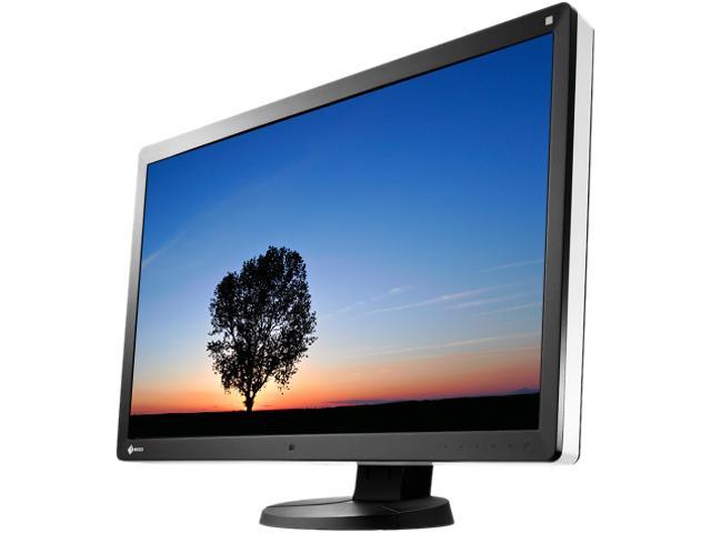 Eizo RadiForce RX650 30" LED LCD Monitor - 16:10 - 30 ms