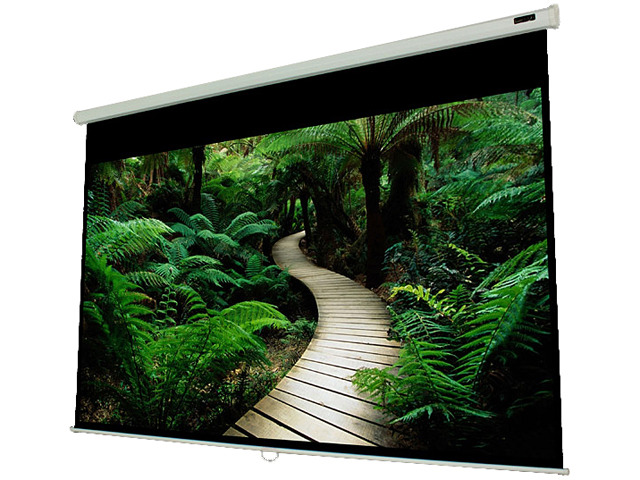 Elunevision Projector EluneVision Manual Projector Screen EV-M-60*60-1.2-1:1 - Newegg.com