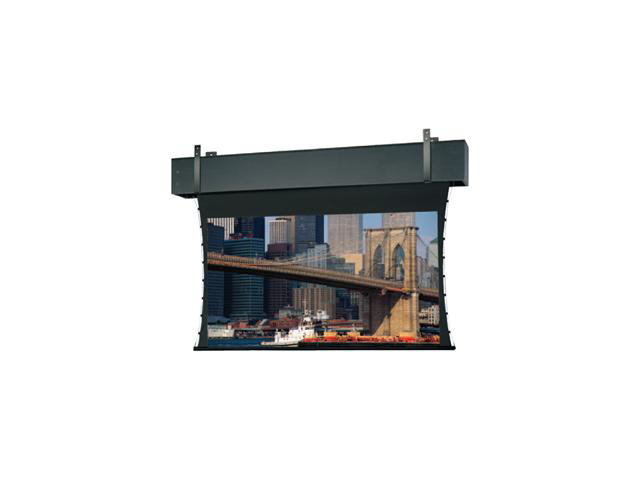 Da-Lite Tensioned Professional Electrol Projection Screen - Newegg.com