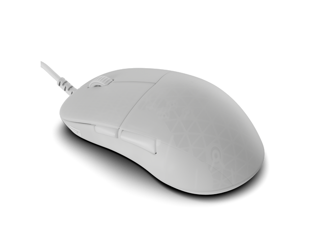Endgame Gear XM2 8k Gaming Mouse - White Frost XM2 8K White Wired ...