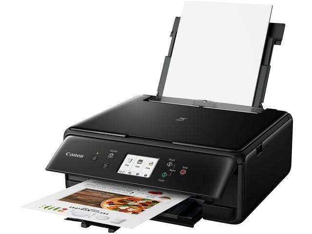 canon pixma chromalife 100