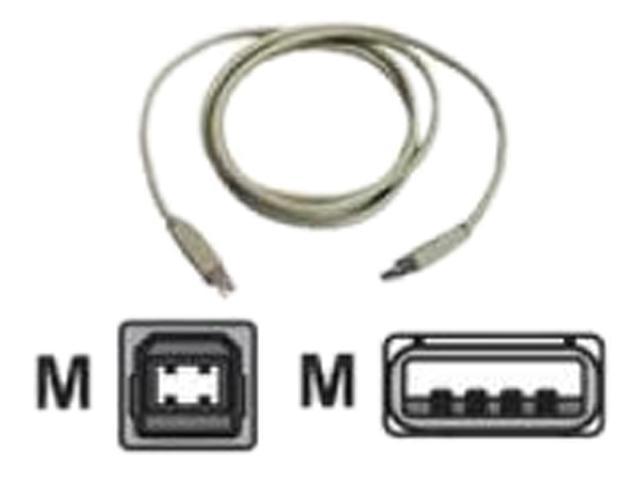 Zebra 105850-006 USB Interface Cable (A to B)