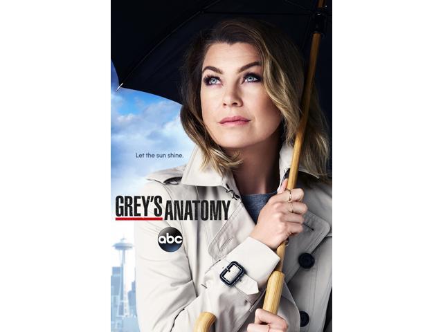 Grey's Anatomy: Season 12 [SD] [FandangoNOW Buy] - Newegg.com