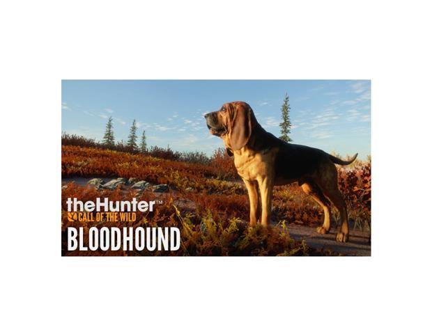 theHunter: Call of the Wild™ - Bloodhound