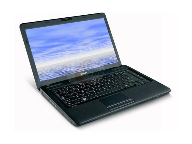 TOSHIBA Laptop Satellite AMD Athlon II P320 3GB Memory 250GB HDD ATI ...