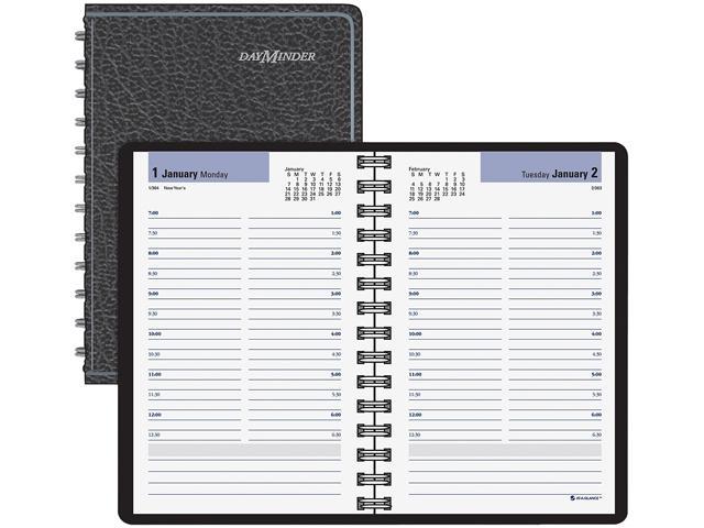 AT-A-GLANCE G20200 DayMinder Daily Appointment Book - Newegg.com