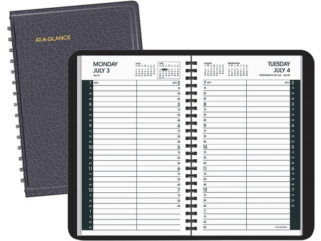 AT-A-GLANCE 70-807-05 Daily Appointment Book With 15-Minute ...