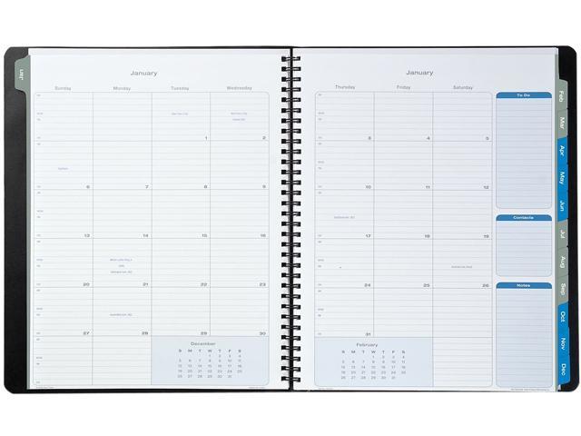 Day-Timer 45225-1201 Essentials Monthly Planner, 8-1/2 x 11, Blue ...