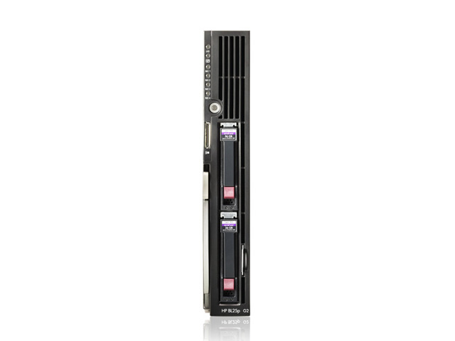 2x Barrettes RAM 4 Go (8 Go Total) ECC PC2-5300P 667 MHz - Pour Serveur HP ProLiant BL25p G2
