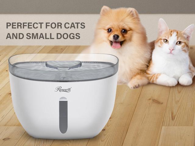 Rosewill Automatic Pet Feeder Food Dispenser for Cat or Dog, Up to