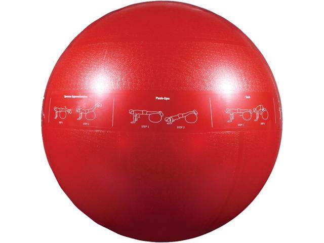 GoFit GF-65PRO Professional Stability Ball & Core Performance Training DVD (65 Cm; Dark Purple)