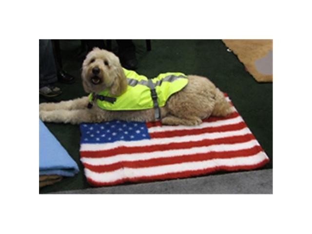 American Pet Diner 021flus4030 Vet Bed Usa Flag 40 In X 30 American Pet Diner 021flus4030 Vet Bed Usa Flag 40 In X 30
