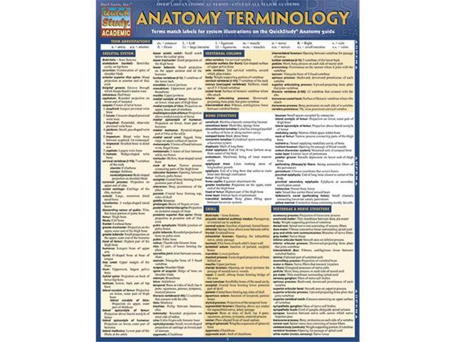 BarCharts 9781423216322 Anatomy Terminology Quickstudy Easel - Newegg.com