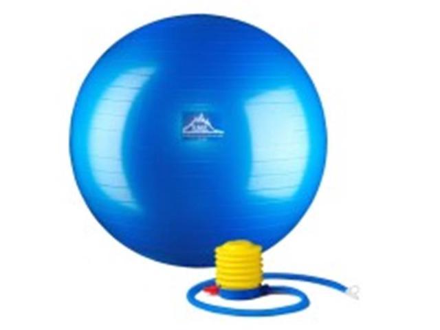 Black Mountain Products 65cm Blue Gym Ball 65 cm. Static Strength Exercise Stability Ball, Blue