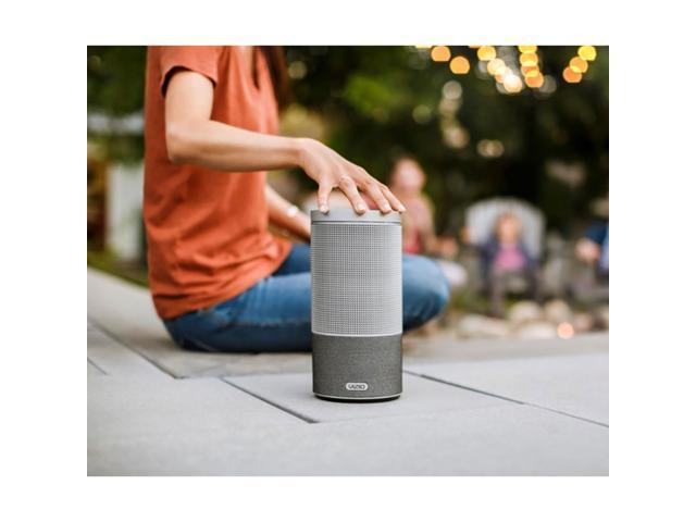 vizio cast speaker