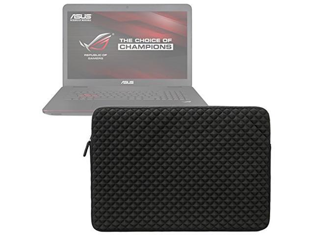 carrying case for 17.3 inch laptop
