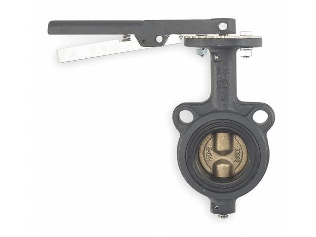 Butterfly Valve CI 2 1/2 In Wafer EPDM 