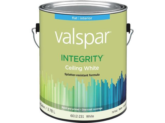 Valspar Integrity Latex Paint And Primer Flat Ceiling ...
