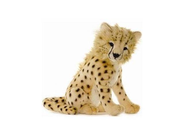 hansa cheetah