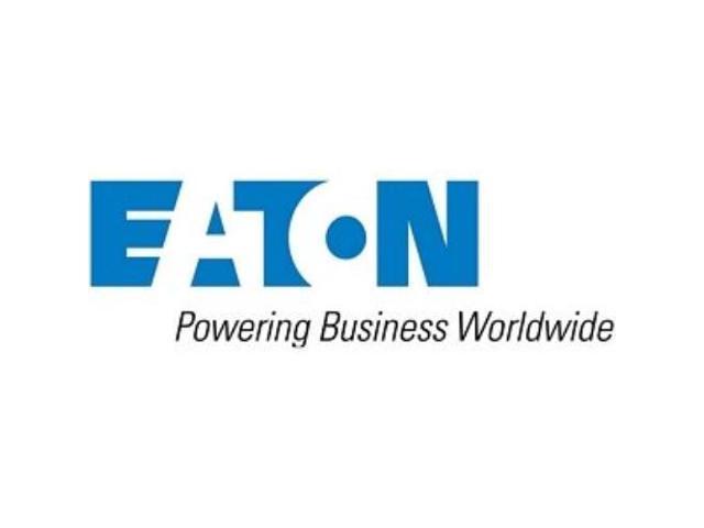Eaton Model EBMCBL180 6 ft Battery Extension Cable (180 V)