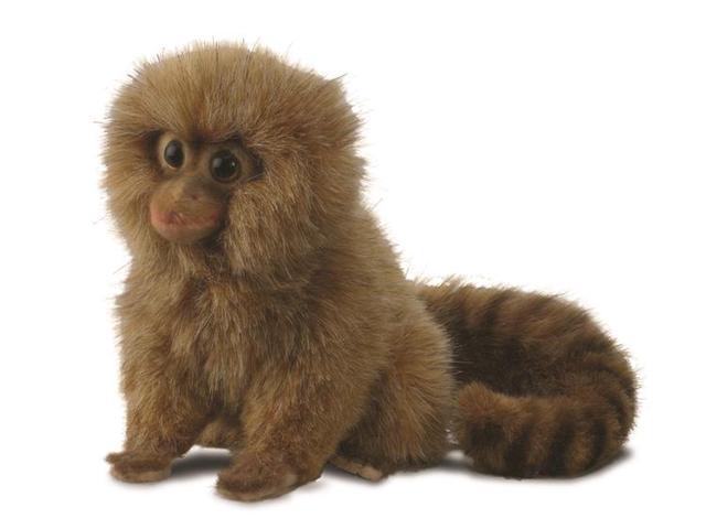 pygmy marmoset stuffed animal