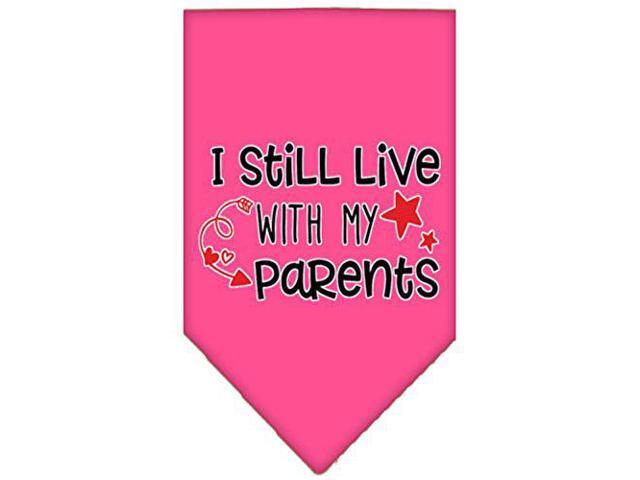 Mirage Still Live with My Parents Screen Print Pet Bandana Bright Pink Small