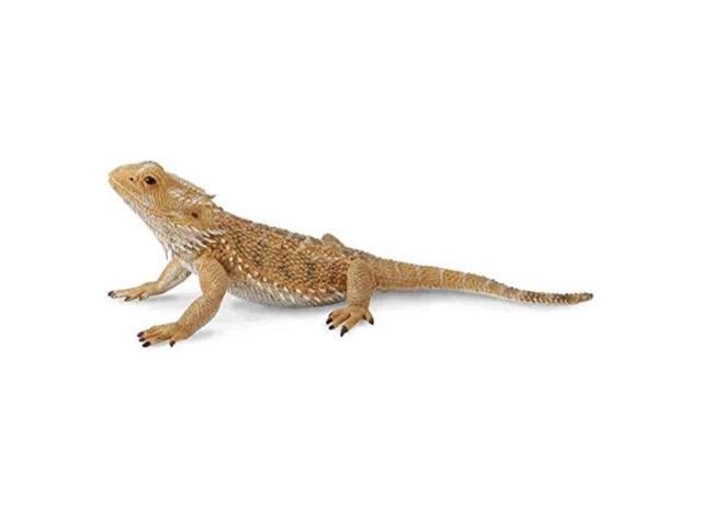 bearded dragon cuddly toy