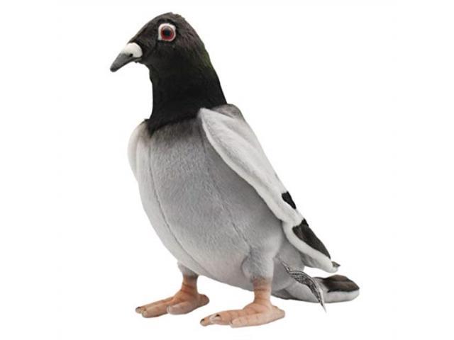 hansa pigeon