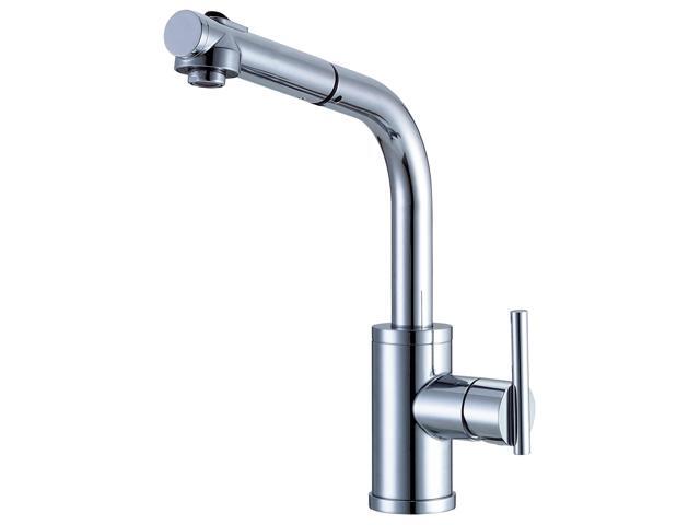 Danze D404558 Parma Single Handle Kitchen Faucet With Pull Out Spout Chrome Newegg Com