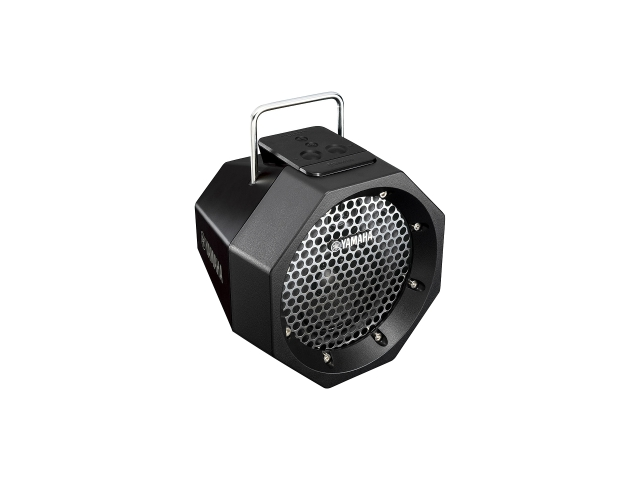 PDX-B11 Portable Bluetooth Speaker System (Black)