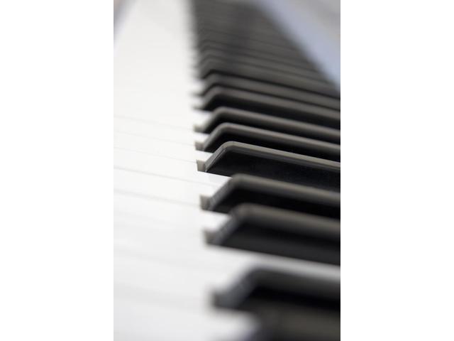 Roblox Piano Keyboard Auto Virtual Piano Trainer Apps On Google Play - piano keyboard roblox notes