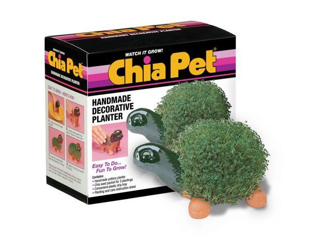 chia turtle