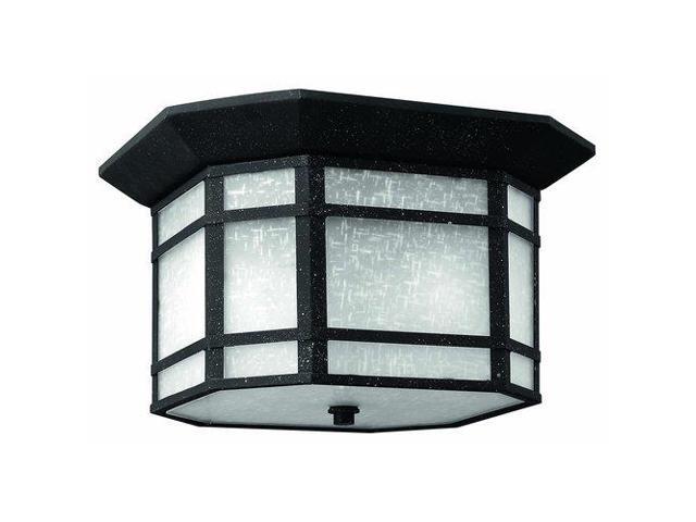 Hinkley Lighting H1273 2 Light 12 Width Outdoor Flush Mount Ceiling Fixture Fro Newegg Com