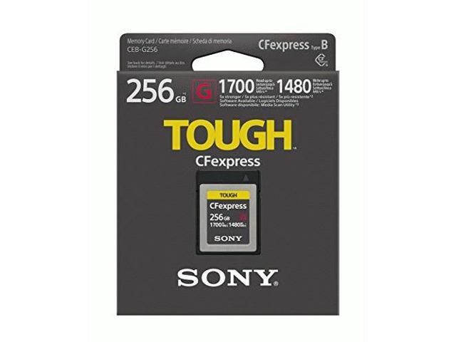 SONY Cfexpress Tough Memory Card - Newegg.com