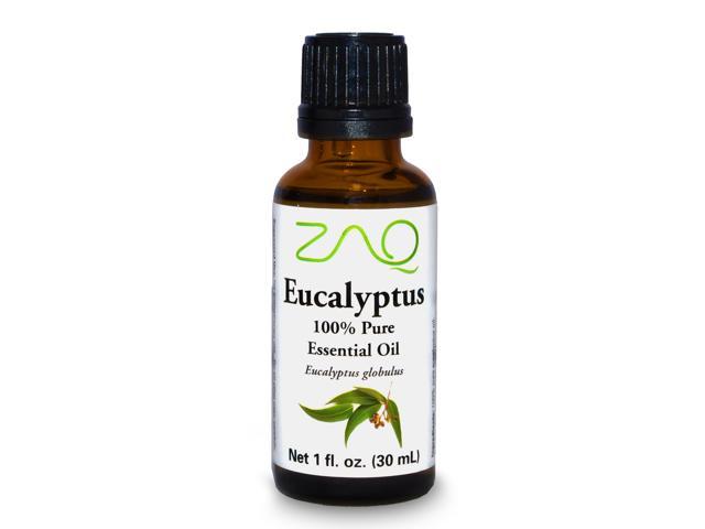 ZAQ Eucalyptus 100% Pure Aromatherapy Essential Oil, 1 Fl Oz Bottle