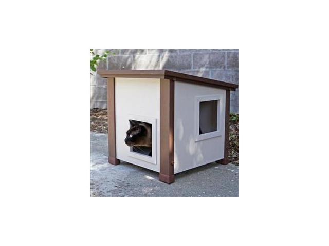 Albany Feral Cat Shelter