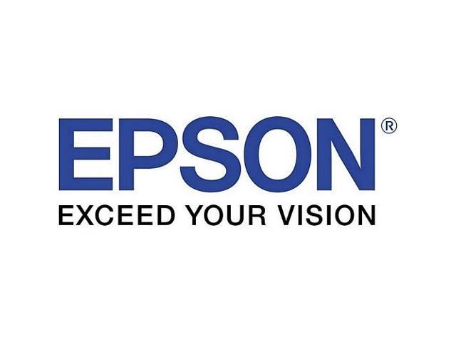 Epson America Printer - Ink Cartridges